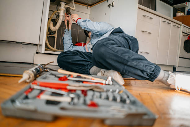 Best Local Plumber Services  in Roswell, NM