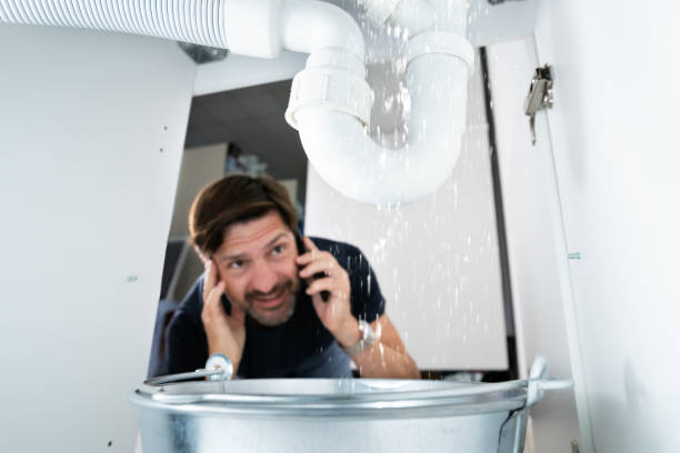 Best Plumbing Services Near Me  in Roswell, NM
