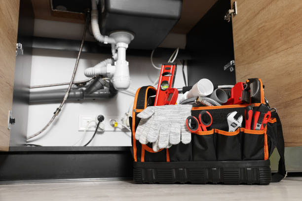 Best Local Plumber Services  in Roswell, NM